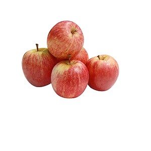 GALA APPLE PACK (10PCS / PACK)