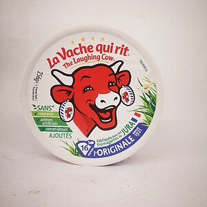 LAUGHING COW PORTION CHEESE 16S 256GM