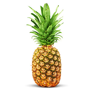 PINEAPPLE MD2 (EACH)