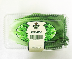 VD ROMAINE