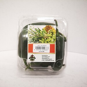 VD HOT JALAPENO 250G