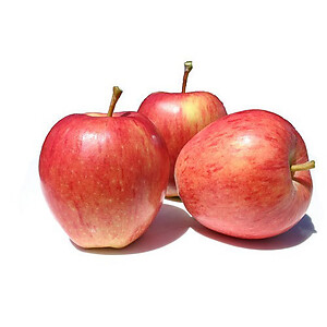 BEAUTY APPLE (ROYAL GALA) (10PCS / PACK)