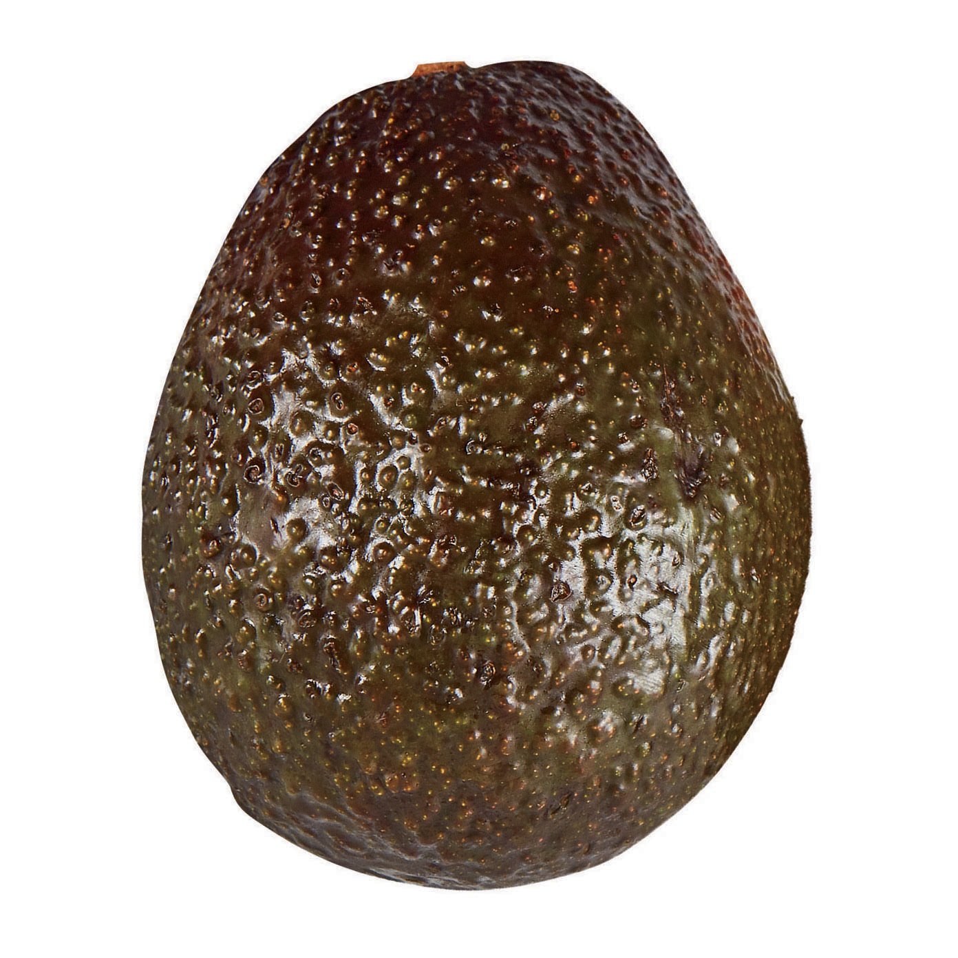 AVOCADO (EACH)