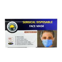 FACE MASK EAR LOOP 17CMX10CM BOX W