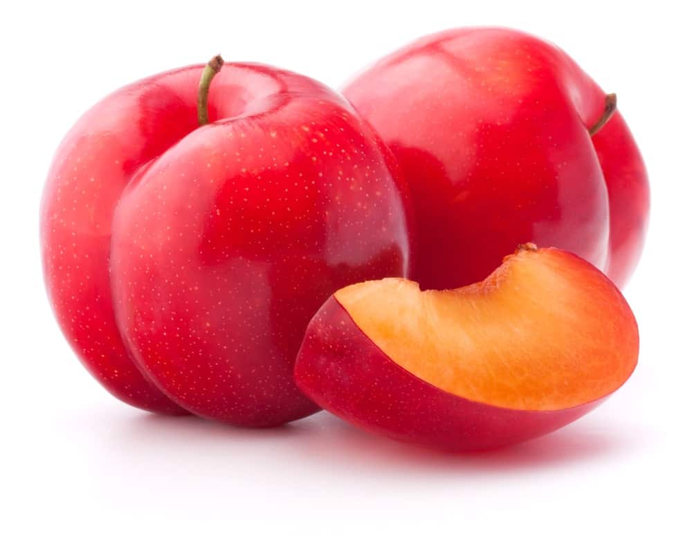 RED PLUM (500 GM)