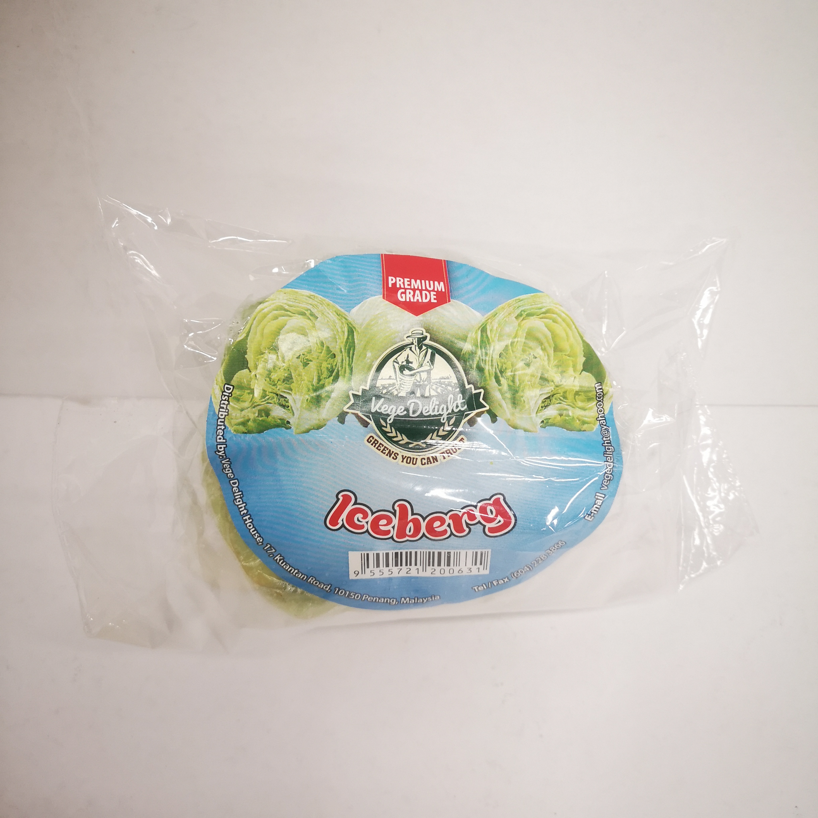 VD ICEBERG LETTUCE 1NOS