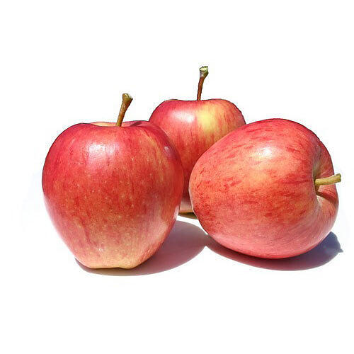 BEAUTY APPLE (ROYAL GALA) (10PCS / PACK)